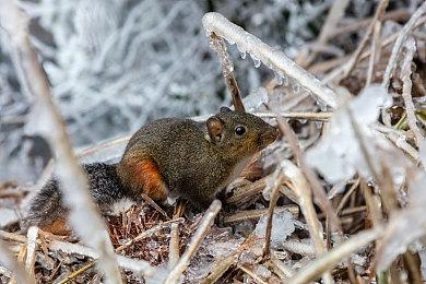 《使命召唤®：黑色行动7》将于11月14日全球发行    现已开放Steam预购